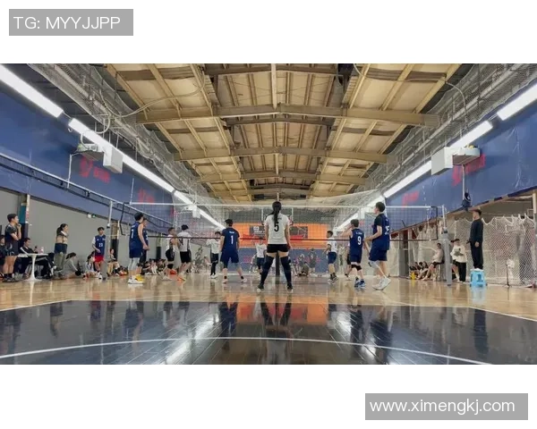 杭州排球队意识变革引发热议助力排球运动新发展